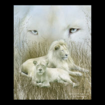 Spirit Of The White Lions Art Poster/Print posters