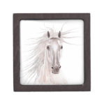 Spirit of the Wind Horse -vintage- Premium Jewelry Boxes