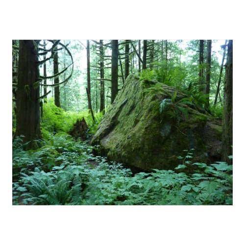 Spirit of the Woods 1 print