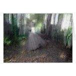 Spirit of the Woods