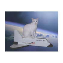 Spirit on space shuttle Postcard