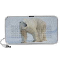 Spirit Passages Polar Bear portable audio speaker speakers