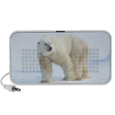 Spirit Passages Polar Bear portable audio speaker
