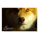 Spirit posters