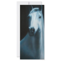 "Spirit" rack cards