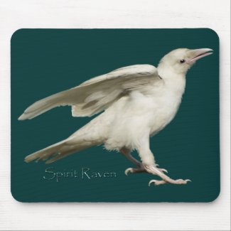 SPIRIT RAVEN II Mousepad mousepad