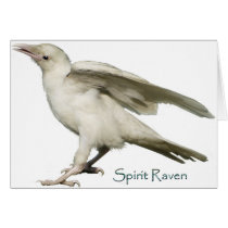 Spirit Raven II Series cards by WILDERNESS_SHOP Spirit Raven II Series cards