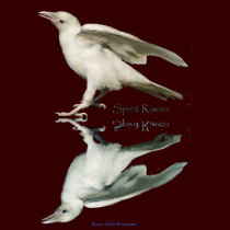 "SPIRIT RAVEN II" Tops & Tees t-shirts by RavenSpiritPrints "SPIRIT RAVEN II" Tops & Tees t-shirts