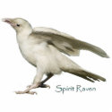 SPIRIT RAVEN ~ Photosculpture