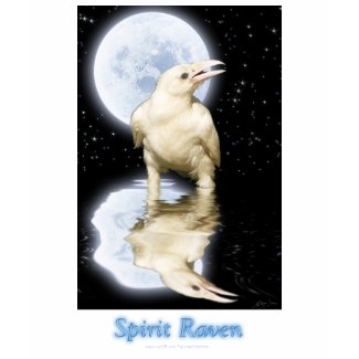 SPIRIT RAVEN shirt