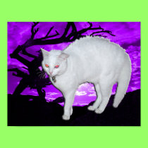 Spirit Spooked poster posters