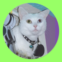 Spirit Sticker stickers