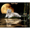 SPIRIT TIGER Mousepad mousepad