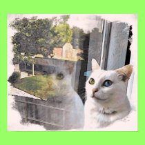 Spirit window #4 poster posters