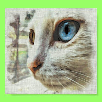 Spirit window #7 poster posters
