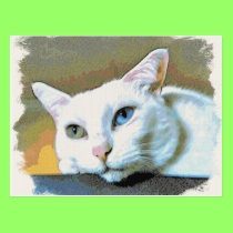 Spirit wistful postcard postcards