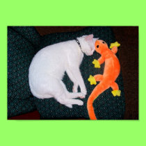 Spirit with Toy Gecko poster posters
