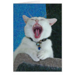 Spirit yawn Card
