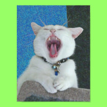 Spirit Yawns poster posters