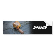 Spirited Snail on a Rainy Day Bumper Sticker