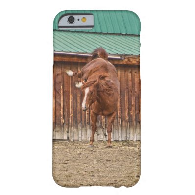 Spirited Sorrel Horse Bucking by a Barn Barely There iPhone 6 Case