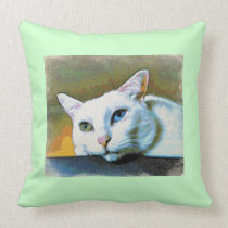 Spirit's 2-faced pillow #2 pillows