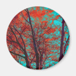 Spiritual Branches magnets