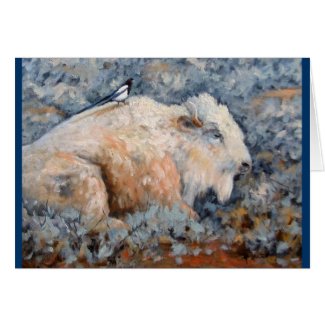Spiritual White Buffalo Fine Art Card