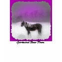 , Spiritwind Paso Finos purple t-shirts
