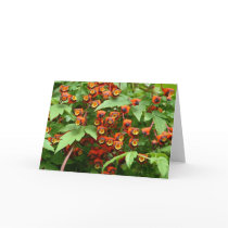 Spit-fire greetings card by CHOLOEPUS Spit-fire greetings card