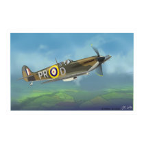Spitfire Fighter posters