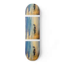 Spitfire skateboard
