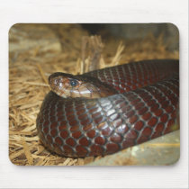 Spitting Cobra Mousepad