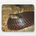 Spitting Cobra Mousepad
