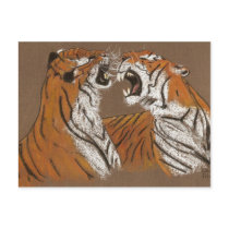 Spitting Mad Tigers - postcard