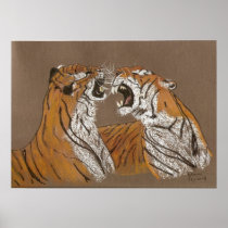 SPITTING MAD - TIGERS - POSTER