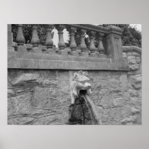 SPITTING STONE LION POSTERS