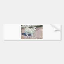 Spitz Bumper Sticker