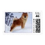 spitz painting postage samps