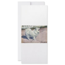Spitz Custom Rack Card