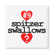 SPITZER SWALLOWS 2 Magnet by ScottNychay SPITZER SWALLOWS 2 Magnet