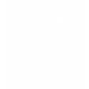 SPITZER SWALLOWS t-shirts