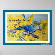 Spix's Macaw or Ararinha Azul Fine Art Poster