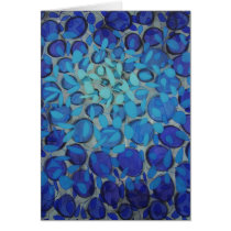 SPLASH cards