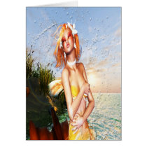 Splash cards