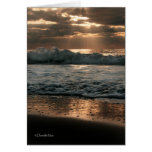 Splash Card