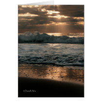Splash Card by photosbydaniellenice Splash Card