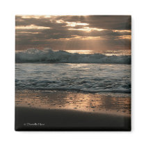 Splash Magnet by photosbydaniellenice Splash Magnet