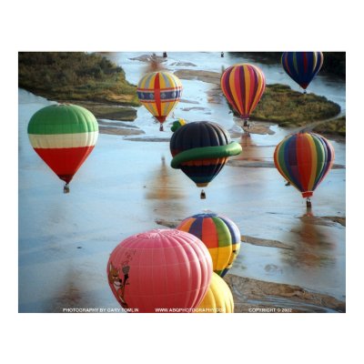 Splash N Dash/GBTSD04 Print by abqphotography