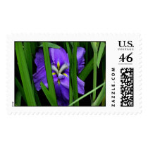 Splash of Blue postage